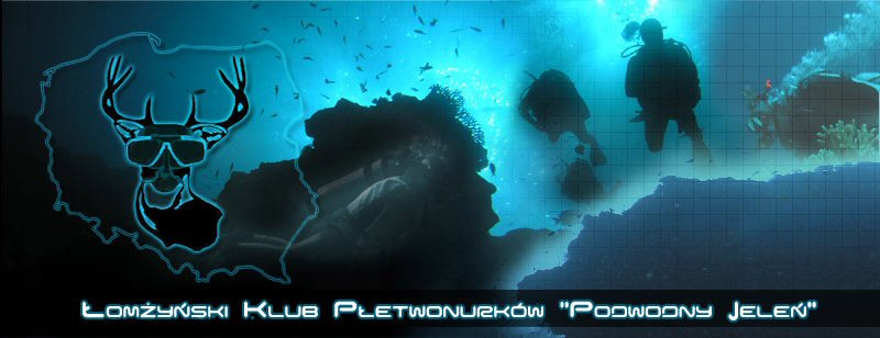 £om¿yñski Klub P³etwonurków Podwodny Jeleñ